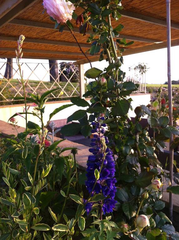 Azienda Agrituristica Bellavista Villa Montespertoli Dış mekan fotoğraf