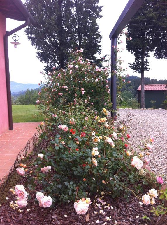 Azienda Agrituristica Bellavista Villa Montespertoli Dış mekan fotoğraf