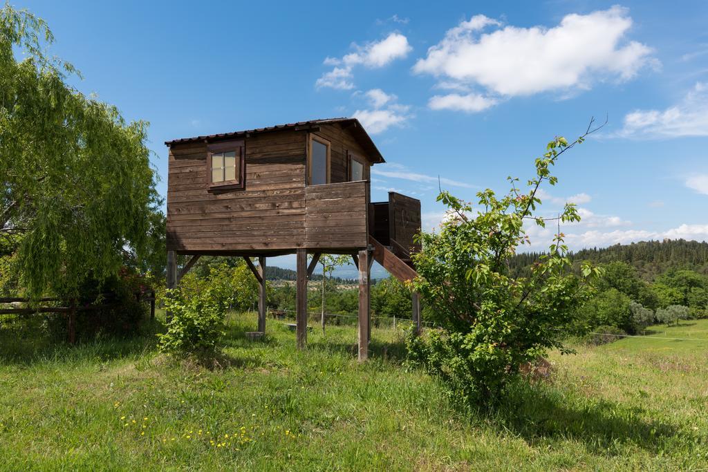 Azienda Agrituristica Bellavista Villa Montespertoli Dış mekan fotoğraf