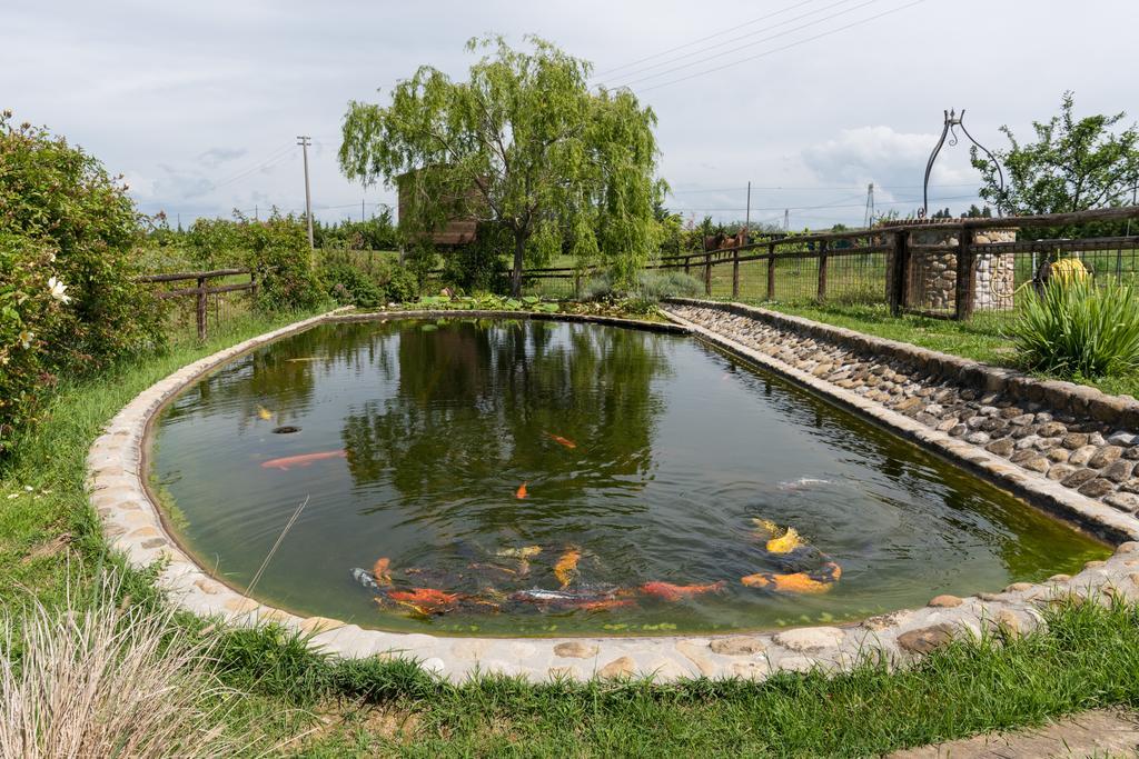 Azienda Agrituristica Bellavista Villa Montespertoli Dış mekan fotoğraf